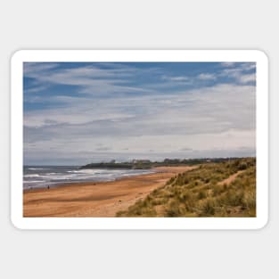 Springtime on the beach at Seaton Sluice Sticker